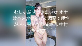 むしゃぶりつきたい女 オナ禁ハメ禁のあげく媚薬で理性がぶっ飛んだ熟成爆乳 中村知恵