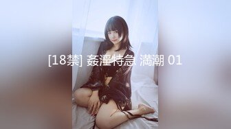 [18禁] 姦淫特急 満潮 01