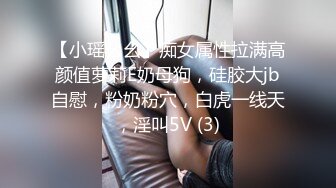 【小瑶幺幺】痴女属性拉满高颜值萝莉E奶母狗，硅胶大jb自慰，粉奶粉穴，白虎一线天，淫叫5V (3)