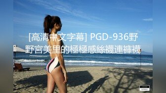 [高清中文字幕] PGD-936野野宮美里的極極感絲襪連褲襪