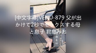 [中文字幕]VENU-879 父が出かけて2秒でセックスする母と息子 君島みお