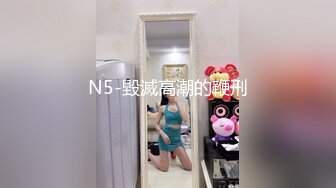 N5-毀滅高潮的鞭刑