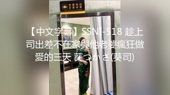 【中文字幕】SSNI-518 趁上司出差不在家與他老婆瘋狂做愛的三天 葵つかさ(葵司)