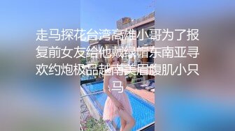 走马探花台湾高雄小哥为了报复前女友给他戴绿帽东南亚寻欢约炮极品越南美眉腹肌小只马