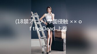 (18禁アニメ) 学園侵触 ×× of the Dead 上巻