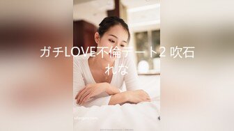 ガチLOVE不倫デート2 吹石れな