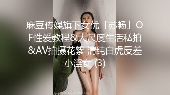 麻豆传媒旗下女优「苏畅」OF性爱教程&大尺度生活私拍&AV拍摄花絮 清纯白虎反差小淫女 (3)