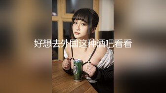 好想去外国这种酒吧看看