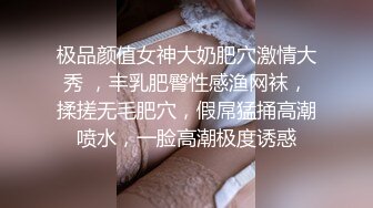 极品颜值女神大奶肥穴激情大秀 ，丰乳肥臀性感渔网袜，揉搓无毛肥穴，假屌猛捅高潮喷水，一脸高潮极度诱惑