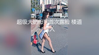 超级大奶母狗首次露脸 楼道后入