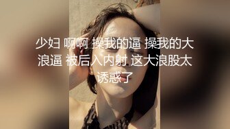 少妇 啊啊 操我的逼 操我的大浪逼 被后入内射 这大浪股太诱惑了