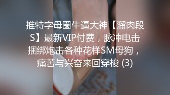 推特字母圈牛逼大神【溜肉段S】最新VIP付费，脉冲电击捆绑炮击各种花样SM母狗，痛苦与兴奋来回穿梭 (3)