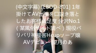 (中文字幕) [EBOD-801] 1年掛けてAV出演を口説き落としたお客様満足度 金沢No.1（某風俗サイト調べ）現役バリバリ神接客Hcupソープ嬢AVデビュー 望月のあ