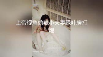 上帝视角偷窥小夫妻绿叶房打炮