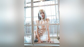 Big Tit Fanatic 3