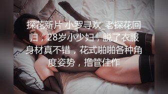 探花新片 小罗寻欢_老探花回归，28岁小少妇，脱了衣服身材真不错，花式啪啪各种角度姿势，撸管佳作