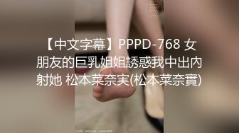 【中文字幕】PPPD-768 女朋友的巨乳姐姐誘惑我中出內射她 松本菜奈実(松本菜奈實)