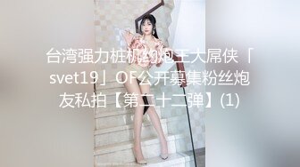 台湾强力桩机约炮王大屌侠「svet19」OF公开募集粉丝炮友私拍【第二十二弹】(1)