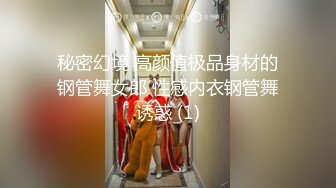 秘密幻境 高颜值极品身材的钢管舞女郎 性感内衣钢管舞诱惑 (1)