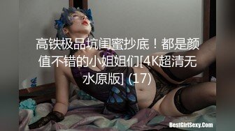 高铁极品坑闺蜜抄底！都是颜值不错的小姐姐们[4K超清无水原版] (17)