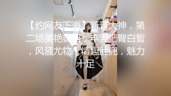 【约网友下海】新晋大神，第二场美艳御姐，丰乳肥臀白皙，风骚尤物，情趣肚兜，魅力十足