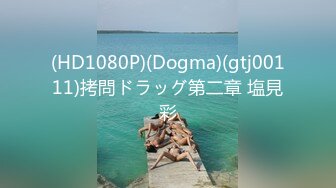 (HD1080P)(Dogma)(gtj00111)拷問ドラッグ第二章 塩見彩